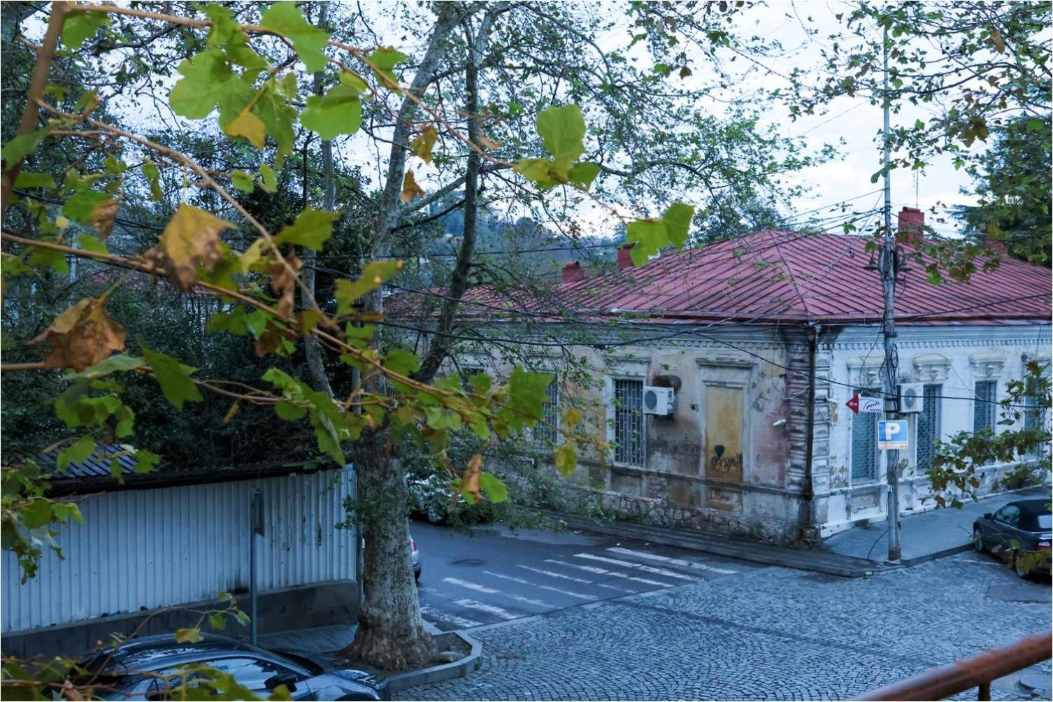 Sayulia Kutaisi Bagian luar foto